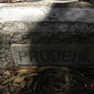 PRODEHL