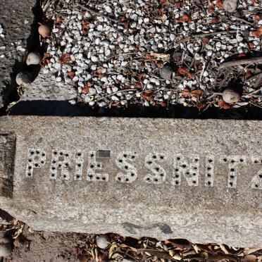 PRIESSNITZ