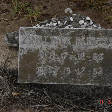 PAINGZYK  Zwillinge 1953-1953