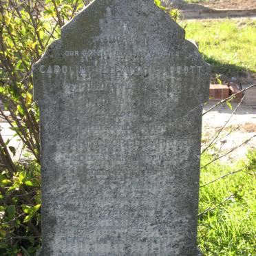 PARROTT