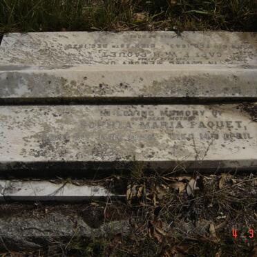 PAQUET F.W.H. 1843-1920 &amp; Sophia Maria 1858-1898