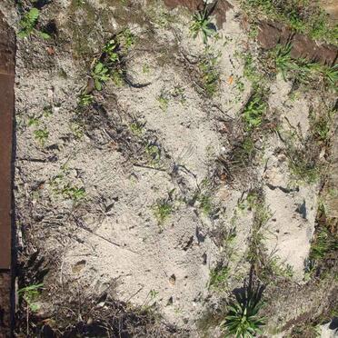 RICHARDSON Meryl -1944