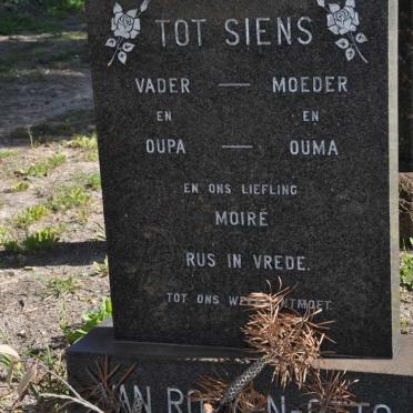 ROOYEN, van :: OTTO
