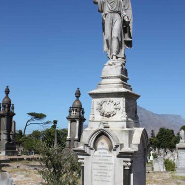 RYNHOUD :: SCHIERHOUT