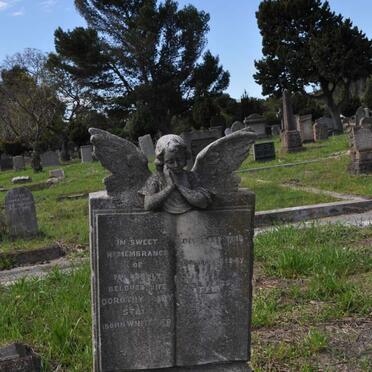 STACE James Tom -1950 &amp; Dorothy Mary WHITAKER -1947