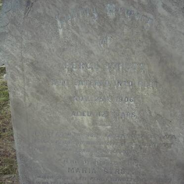 STRUTT Percy -1906