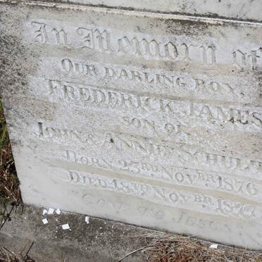 SCHULTZ Frederick James 1876-1877