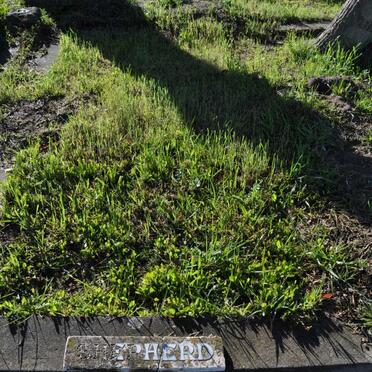 SHEPHERD Charles -193? &amp; Olive :: SHEPHERD Catherine -1941