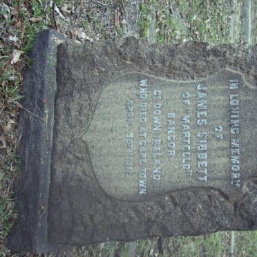SIBBETT James -1911