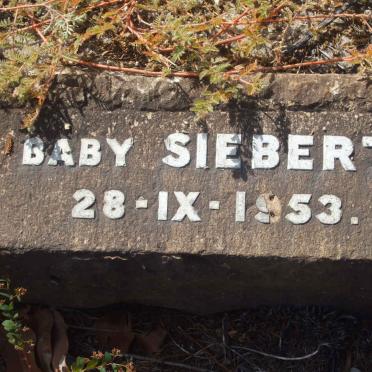 SIEBERT Baby -1953