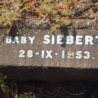 SIEBERT Baby -1953
