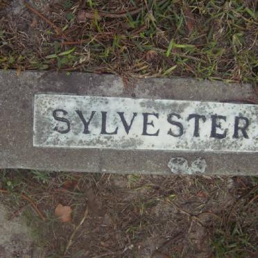 SYLVESTER