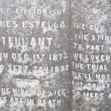 TENNANT Agnes Estella 1873-1892