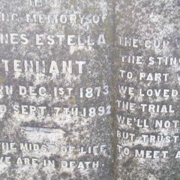 TENNANT Agnes Estella 1873-1892