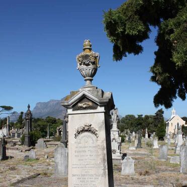 TILLEY :: WILLENBURG