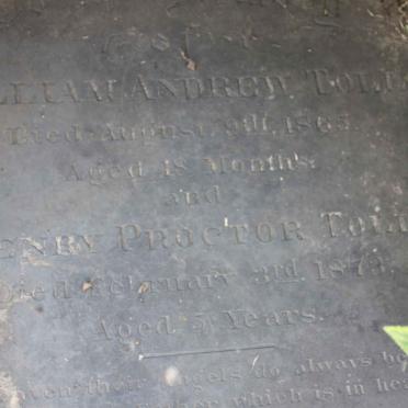 TOLL William Andrew -1865 :: TOLL Henry Proctor -1873 