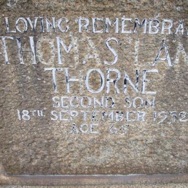 THORNE :: CLEDDEW