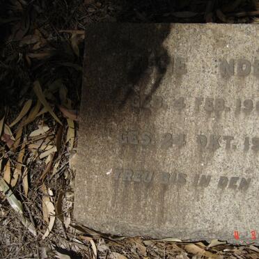 UNDER Ellie 1906-1950