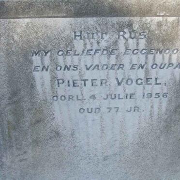 VOGEL Pieter -1956