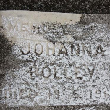VOS Petrus Johannes Pentz -1942 :: POLLEY Johnna -1968 :: BROWN Anna Beatrice 1890-1975 