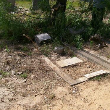 VOLLENHOVEN Fred 1904-1968