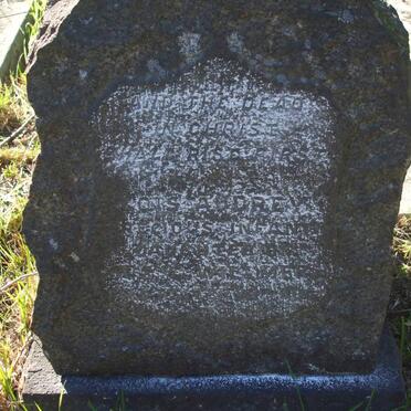 WILLMER Lois Audrey 1918-1918