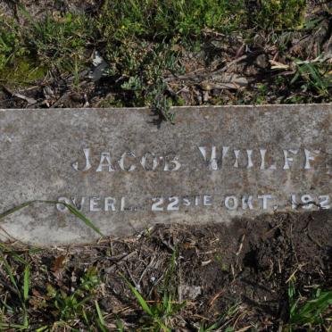 WULFF Jacob -1926