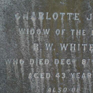 WHITE Charlotte Jane -1894