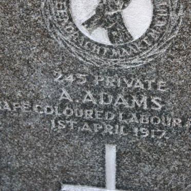 ADAMS A. -1917