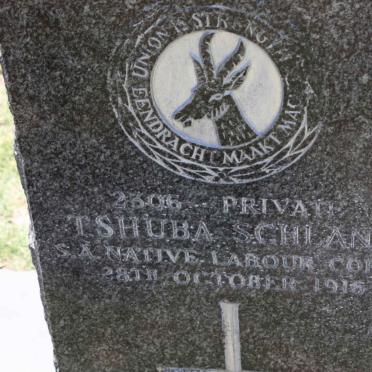 SCHLANO Tshuba -1916