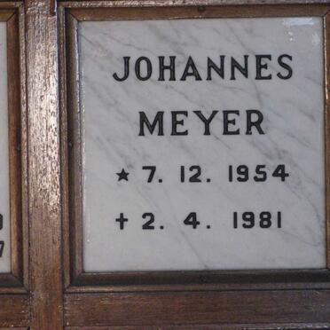 MEYER Johannes 1954-1981