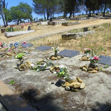 5. Overview / Oorsig