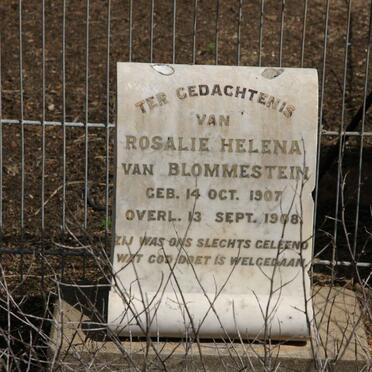 BLOMMENSTEIN Rosalie Helena, van 1907-1908