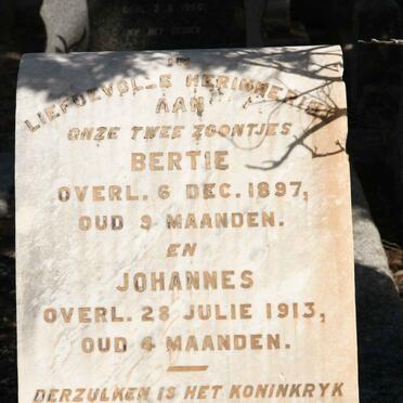 BRINK Bertie -1897 :: BRINK Johannes -1913