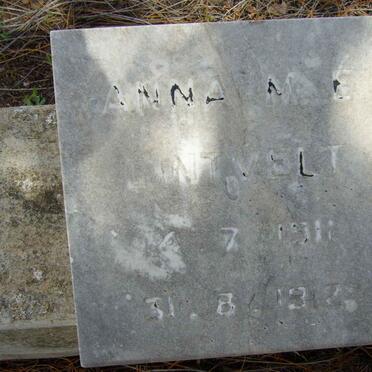 LINTVELT Anna Marié 1911-1918