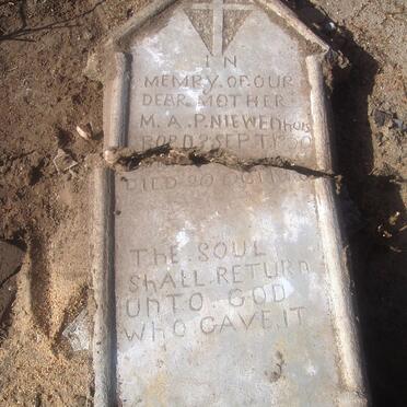 NIEWENHUIS M.A.P. 1850-19??