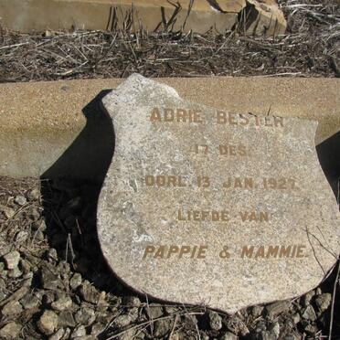 BESTER Adrie -1927
