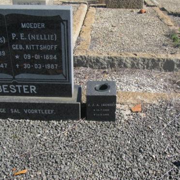 BESTER Jacobus Johannes Andries 1889-1947 &amp; P.E. KITSHOFF 1894-1987 :: BESTER J.J.A. 1920-1995 
