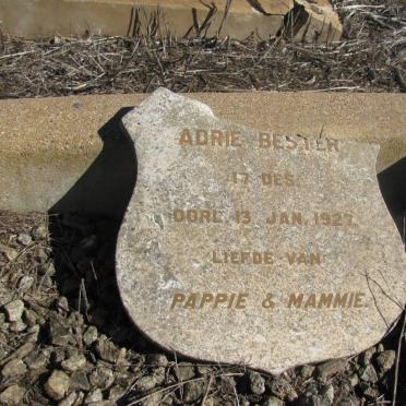 BESTER Adrie -1927