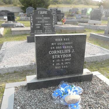 STRYDOM Cornelius J. 1907-1974