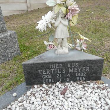 MEYER Tertius 1982-1986