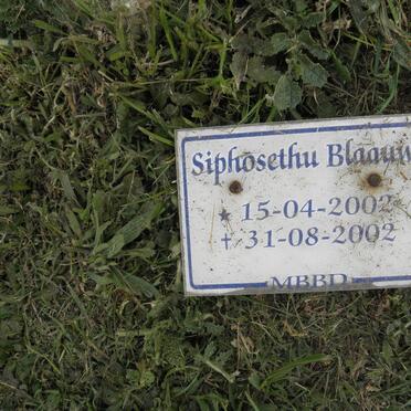 BLAAUW Siphosethu 2002-2002