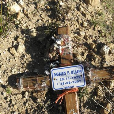 BLUM Agnes F. 1929-2007
