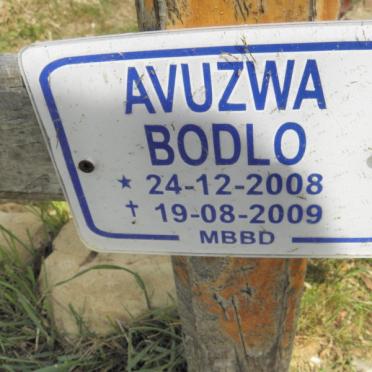 BODLO Avuzwa 2008-2009