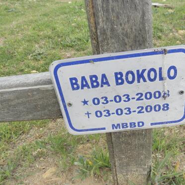 BOKOLO Baba 2008-2008