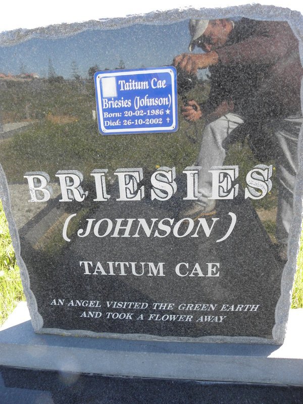 BRIESIES Taitum Cae nee JOHNSON 1986-2002