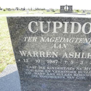 CUPIDO Warren Ashley 1987-1999