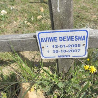 DEMESHA Aviwe 2005-2007