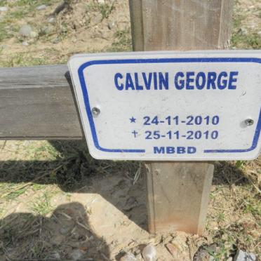 GEORGE Calvin 2010-2010