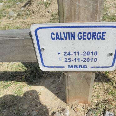 GEORGE Calvin 2010-2010